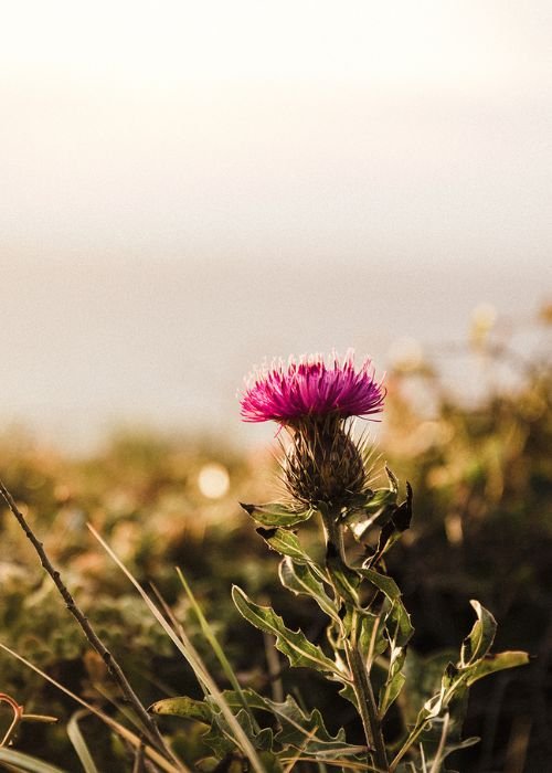 Refúgios – Narrativas Construídas