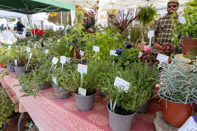 Seixal Green Market