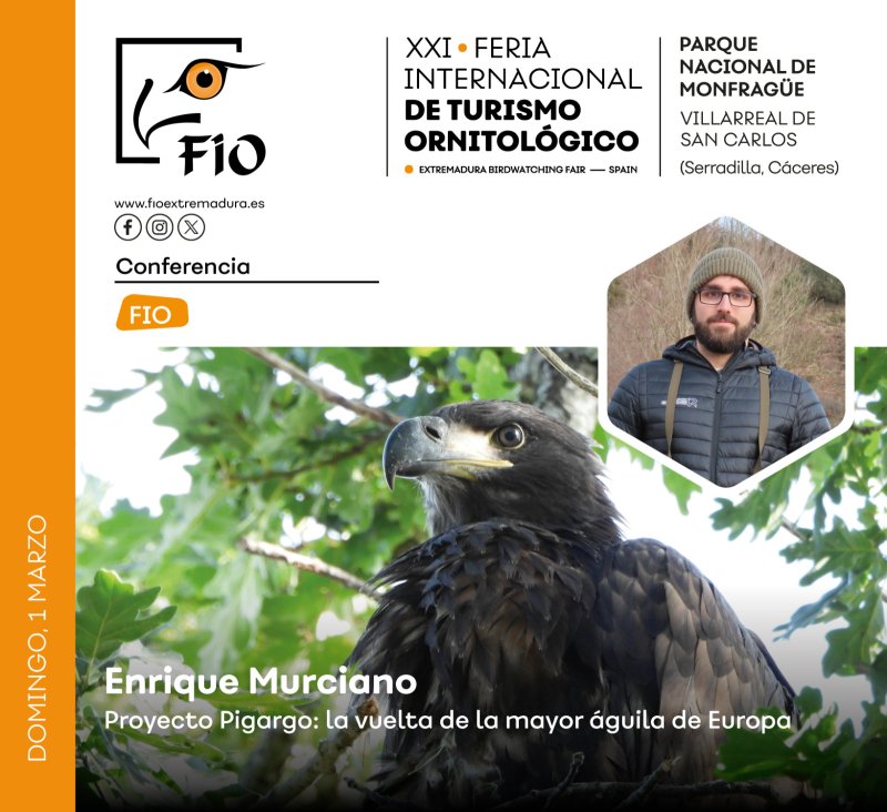 ‘Proyecto Pigargo: la vuelta de la mayor águila de Europa’, por Enrique Murciano