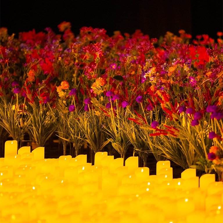 Candlelight: Lo Mejor de Bridgerton | Seville