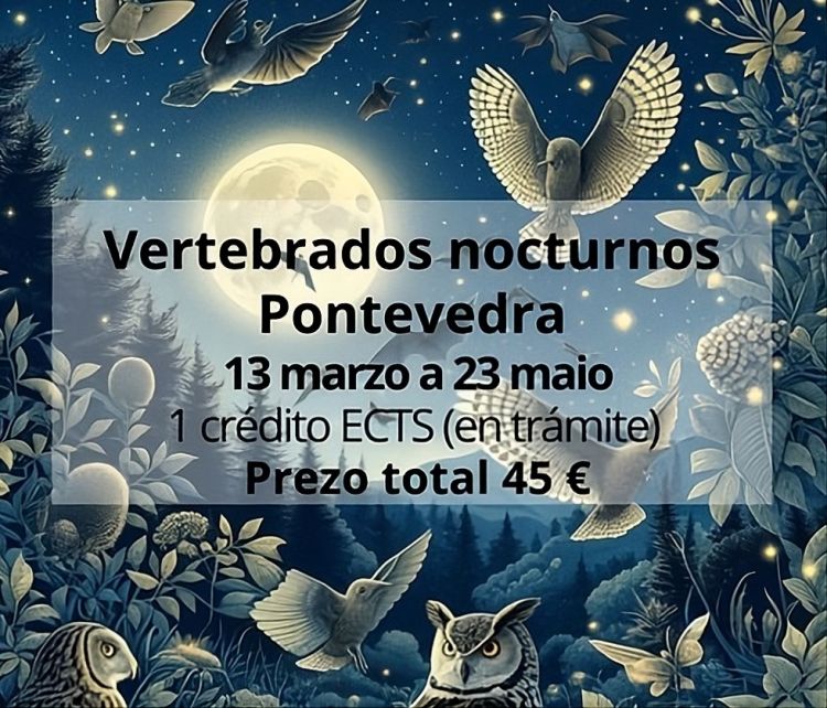 Vertebrados nocturnos Pontevedra