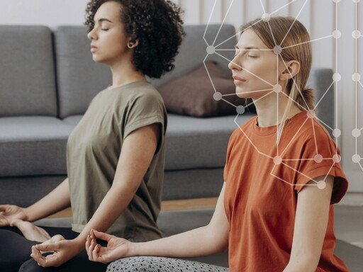 Introdução à Meditação na Universidade - 3ª edição