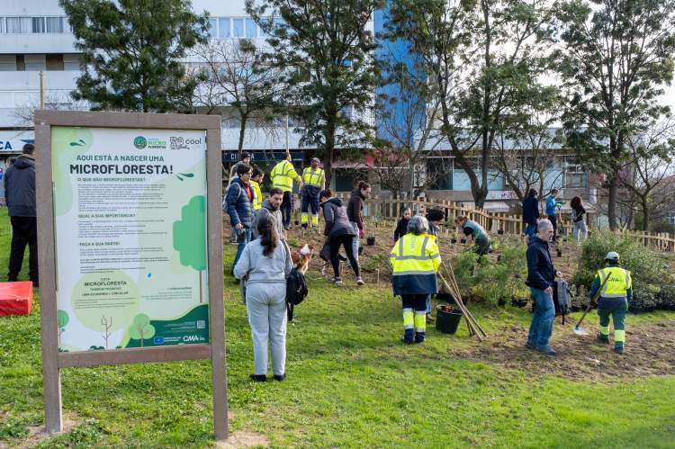 Microflorestas - Voluntários Cuidadores - Parque Urbano Comandante Júlio Ferraz