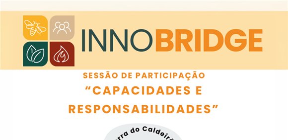 InnoBRIDGE – Sessão 'Capacidades e Responsabilidades'
