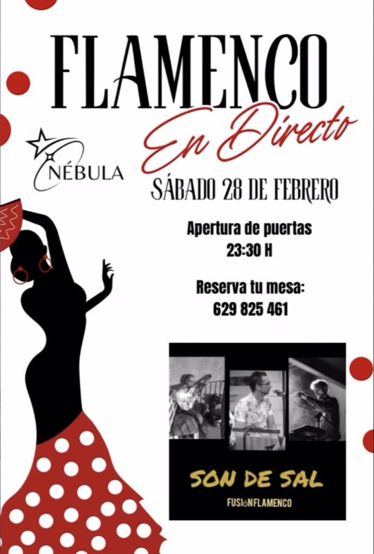 Flamenco en Directo con Son de Sal