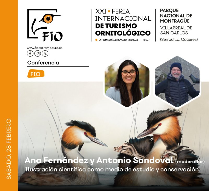 ‘Ilustración científica como medio de estudio y conservación’, por Ana Fernández con Antonio Sandoval (moderador)