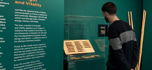 Código Noite – O papel da madeira nas Comunicações