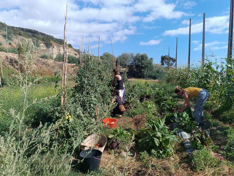Horta Cultural - às terças na Horta