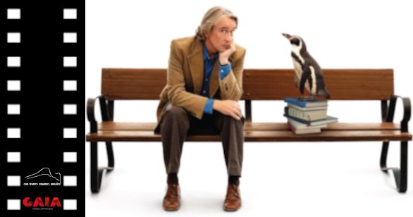 O Professor de Inglês