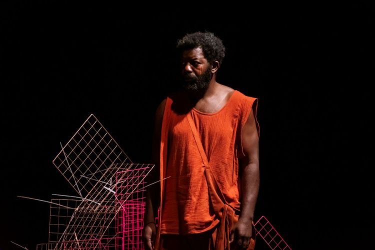 Combate de Negro e de Cães