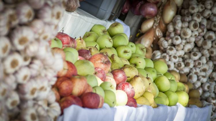 Feira dos Produtos do Campo e Artesanato