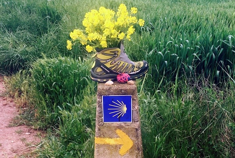 Caminho Português da Costa (Em 12 Etapas)