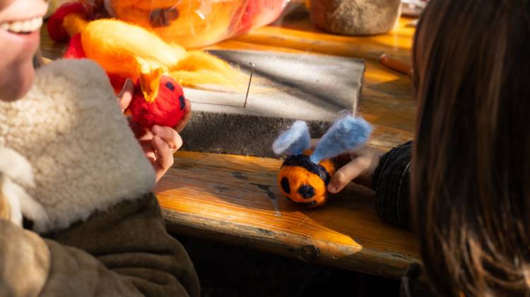 Felting Bombarda - Workshop de Felting intergeracional com Andreia Salavessa