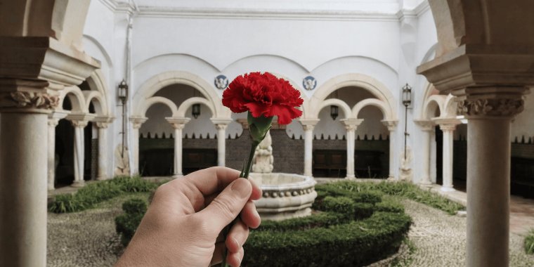 'Encontros Musicais de Liberdade', no Museu Condes de Castro Guimarães