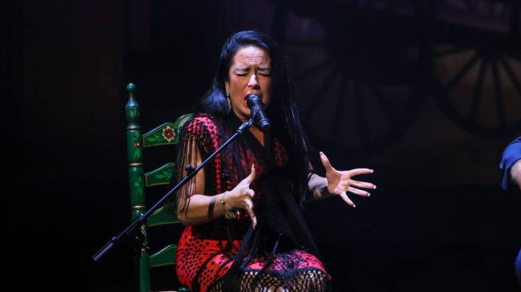 Escena Flamenca. Susana Romero