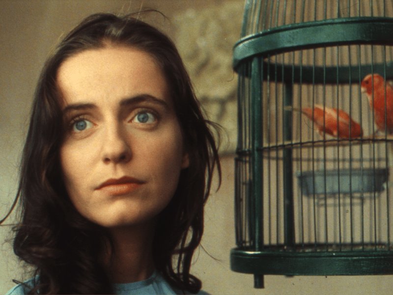 MANOEL DE OLIVEIRA E O CINEMA PORTUGUÊS