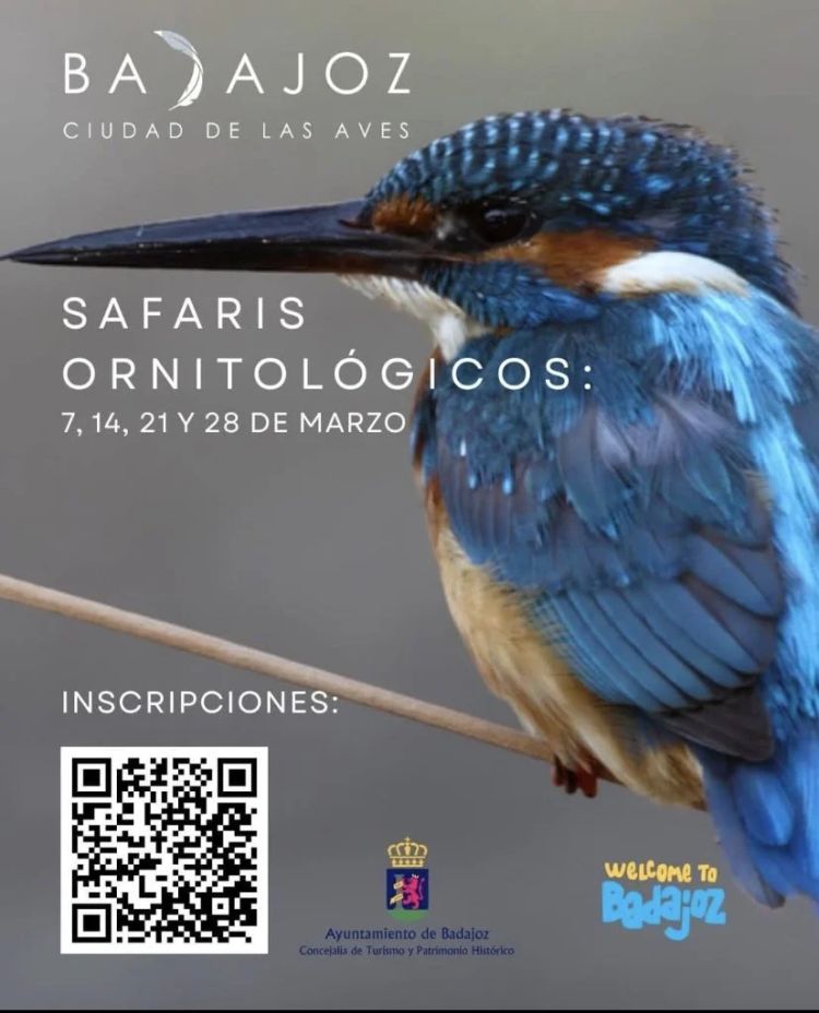 PLAZAS AGOTADAS | Safaris ornitológicos en Badajoz