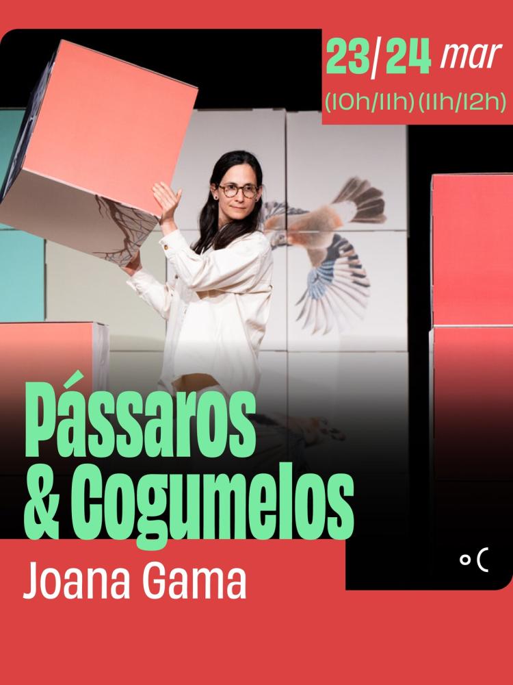 Pássaros & Cogumelos - Joana Gama