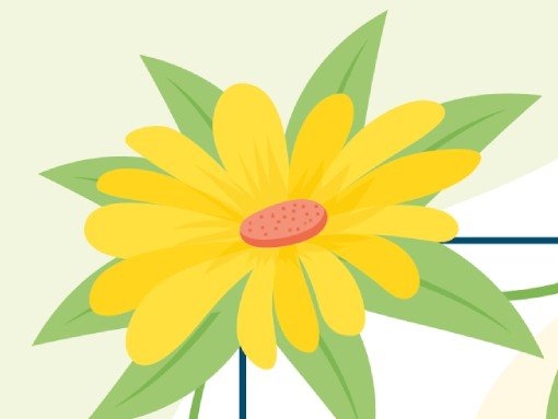 BAILE SÉNIOR DA PRIMAVERA