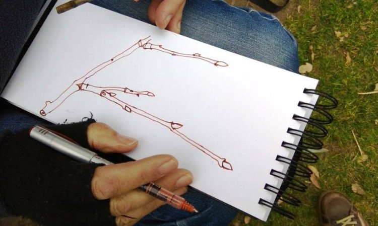 Desenho no Jardim (7 de março)