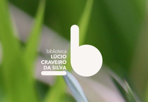 HORA DO CONTO + OFICINA DE EXPRESSÃO - “JARDIM DOS INSETOS”