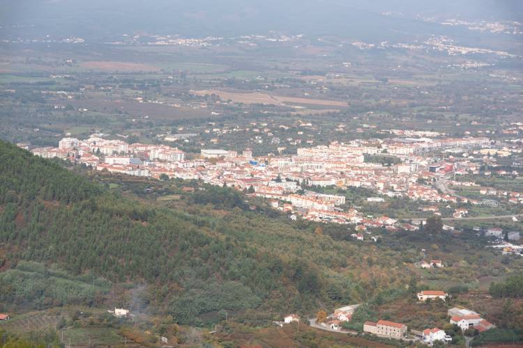 Comemorações de Elevação a Cidade