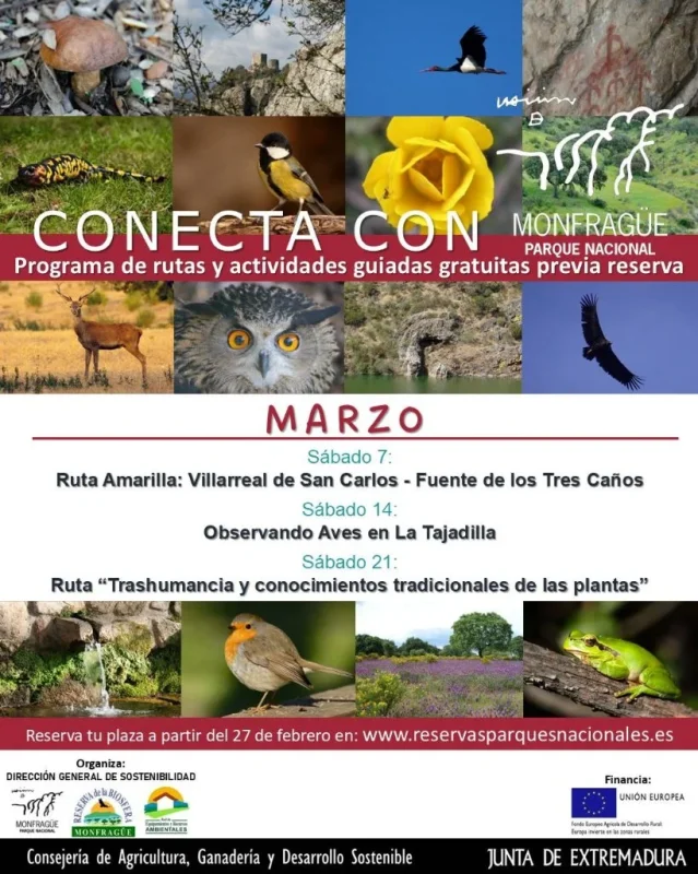 'Ruta Amarilla' | Conecta con Monfragüe: Rutas y Actividades Guiadas