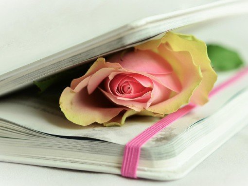 DEIXA QUE OS MEUS OLHOS TE LEIAM