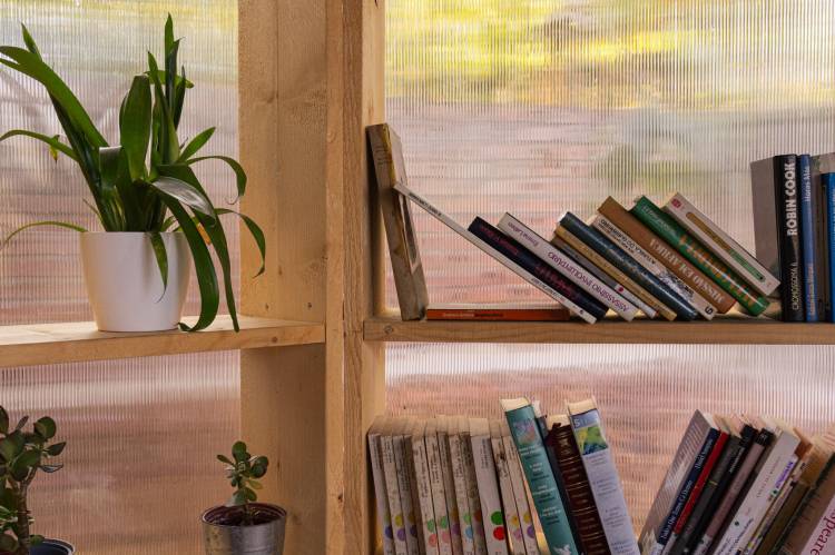 Biblioteca Comunitária :: Dia Internacional da Mulher