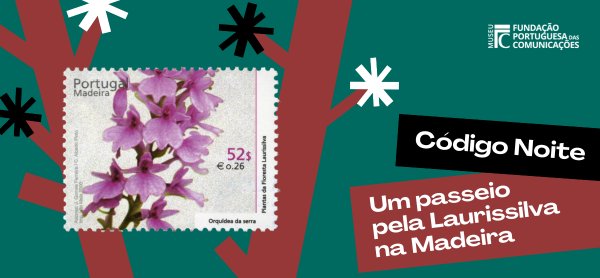 Código Noite – Um passeio pela Laurissilva na Madeira