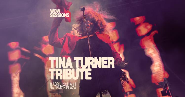 Tina Turner Tribute