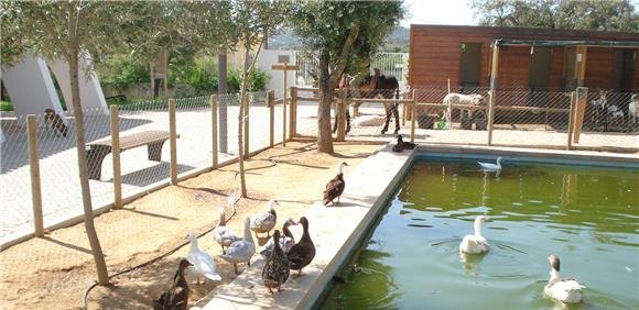 Quinta do Peral - Oficina de Espanta espíritos campestre