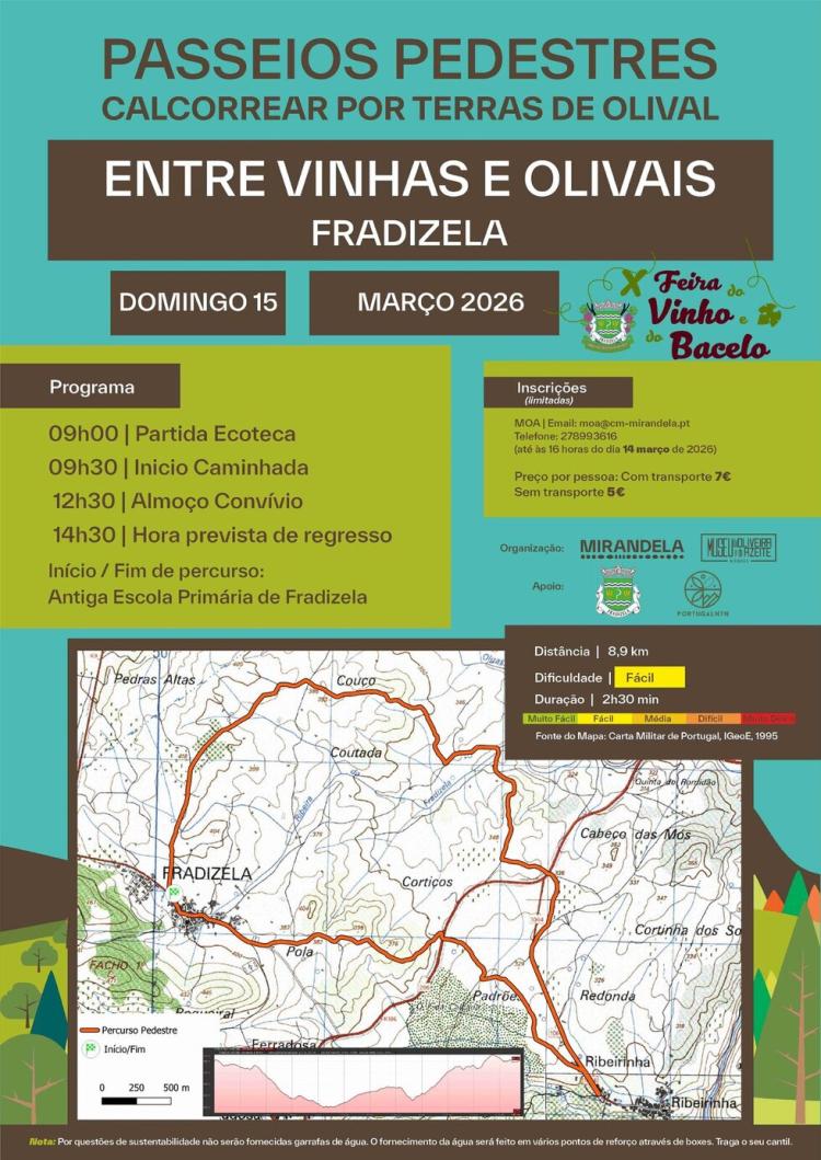 Passeio Pedestre “Entre Vinhas e Olivais” | Fradizela