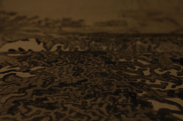 Apresentação do Catálogo da Exposição “Not Yet / No Longer”