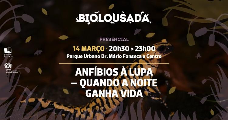 BioLousada - Anfíbios à lupa – quando a noite ganha vida