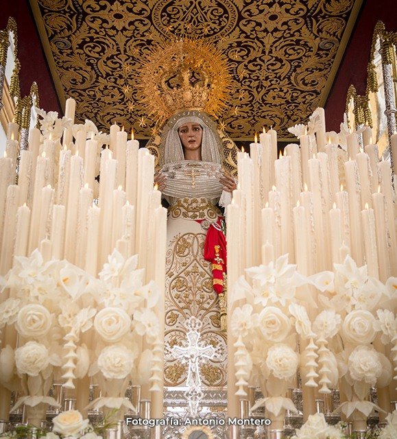 Domingo de Ramos · La Amargura