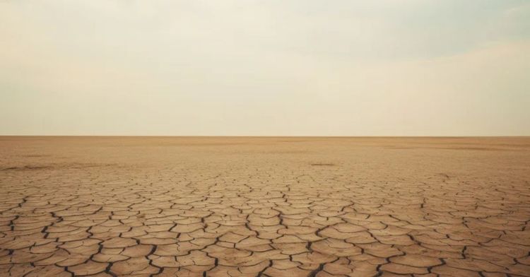Lectura dramatizada «La tierra baldía»