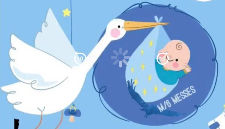 Programa Bebés – Os Pássaros