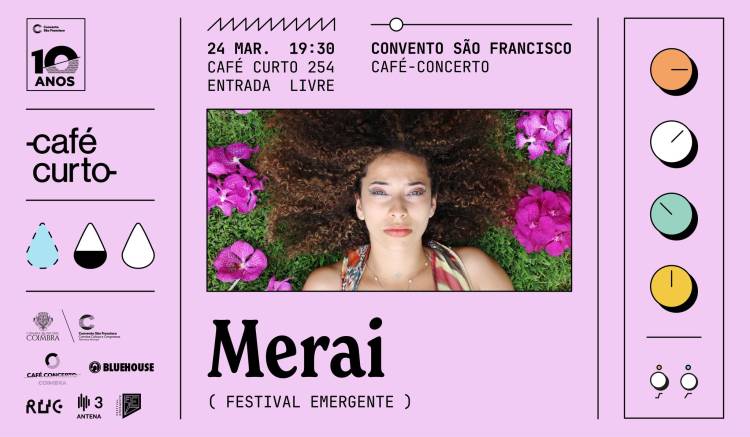 Café Curto #254 |  MERAI