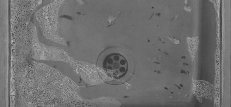 hurry up please it's time