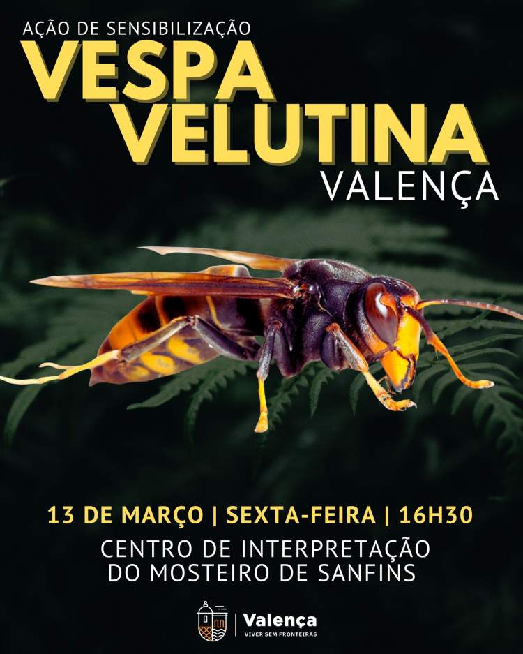 Sensibilização 'A Vespa Velutina'