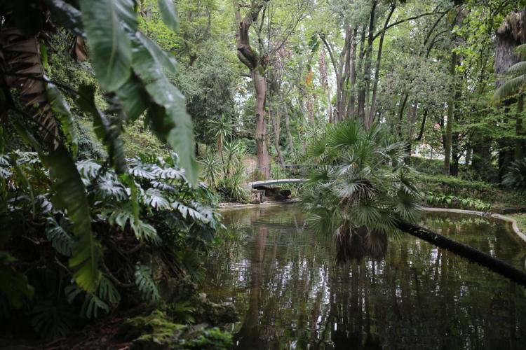 120 anos do Jardim Botânico Tropical