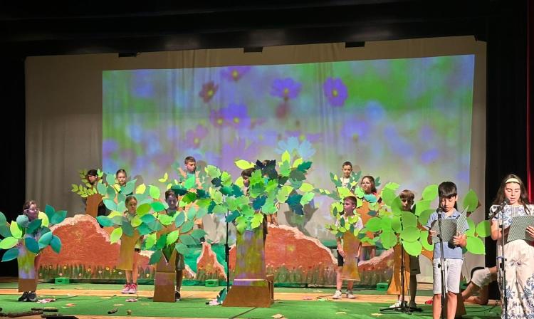 Ana Tereza e o Código Secreto da Floresta