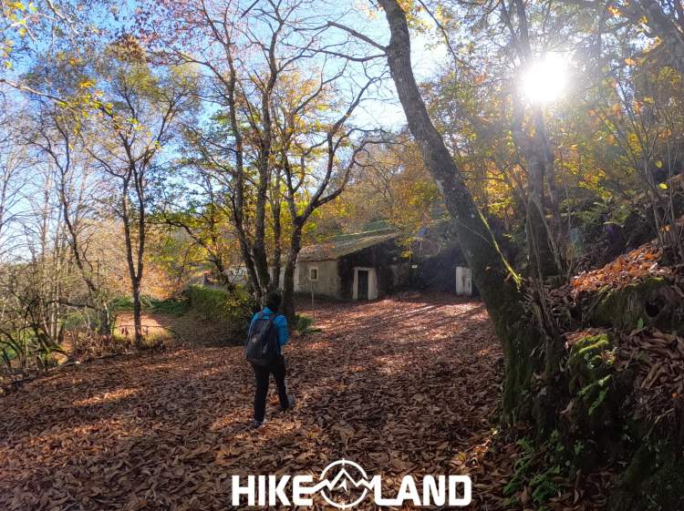 Do Alto da Fóia aos Bosques Encantados de Monchique
