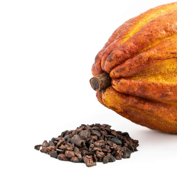 Do cacau ao chocolate: origens e processo de fermentação