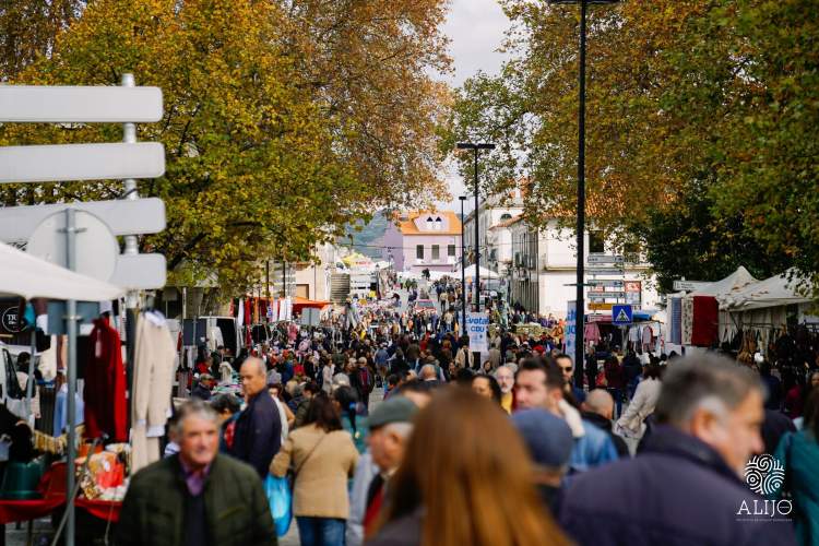 Feira de São Martinho - Dia do Município 2026