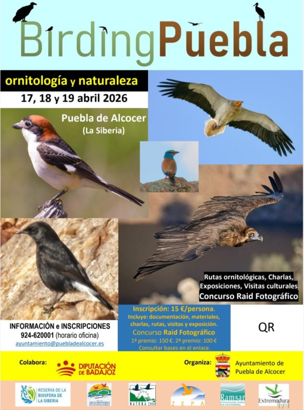 Birding Puebla 2026 | Puebla de Alcocer