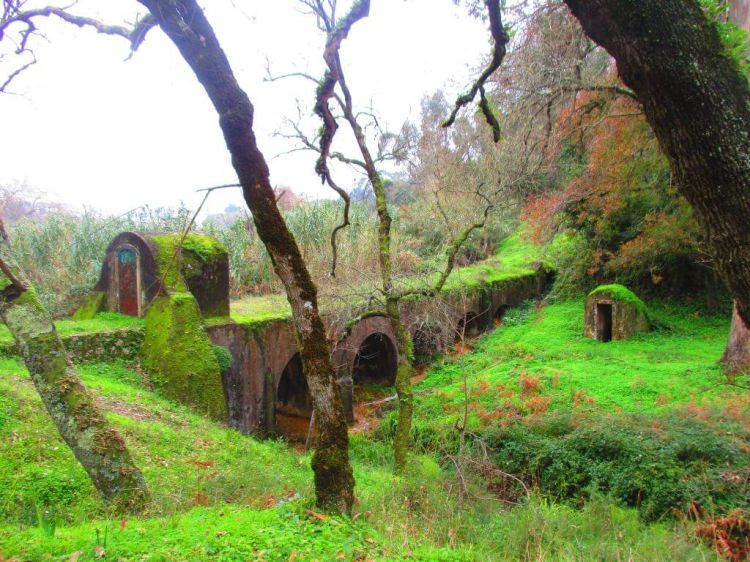 Caminhando à Descoberta da Mata de Belas