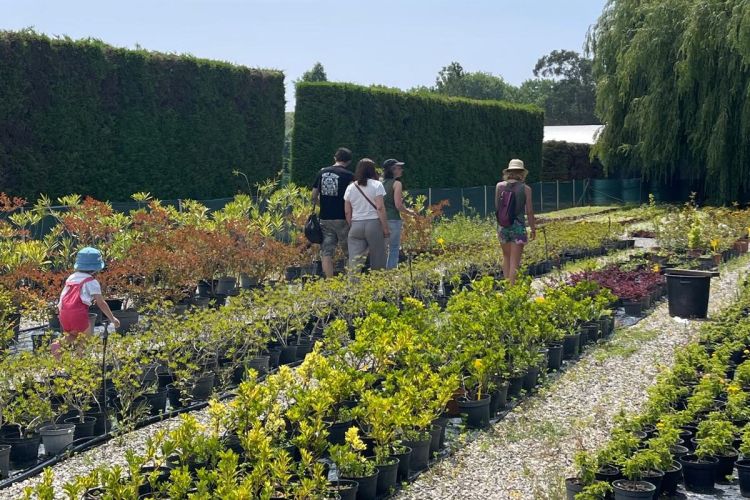 Oficina infantil nos Viveiros Municipais