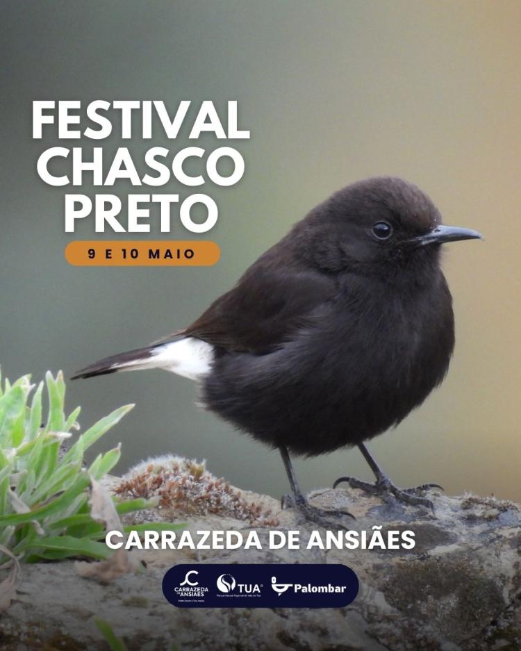 Festival do Casco Preto